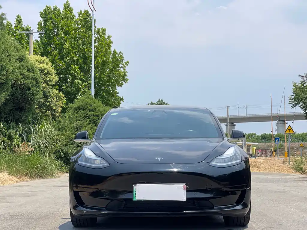 Tesla Model 3 2021 — фото 2