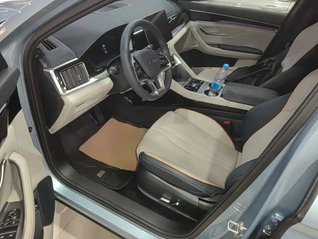 BYD Song PLUS New Energy 2024 — фото 16