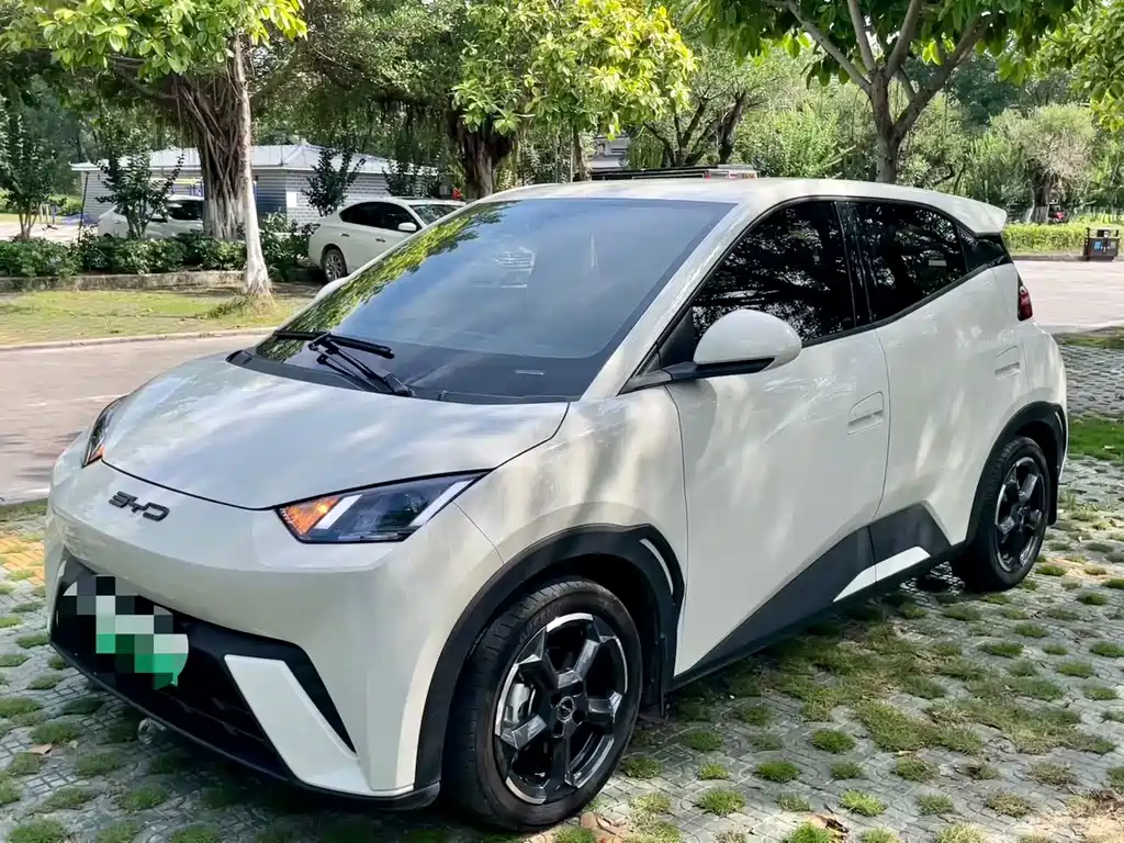BYD Seagull 2024