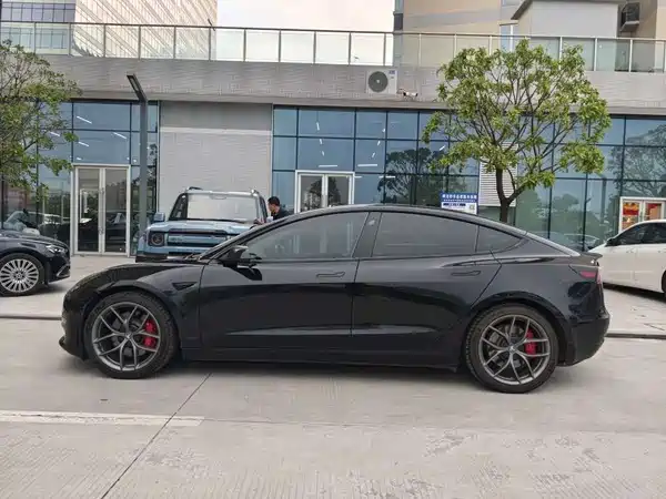 Tesla Model 3 2021