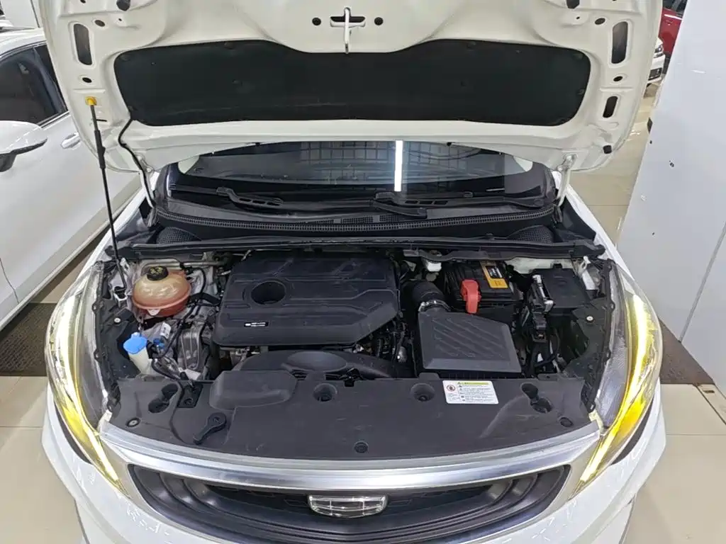Geely Emgrand GS 2020 — фото 20