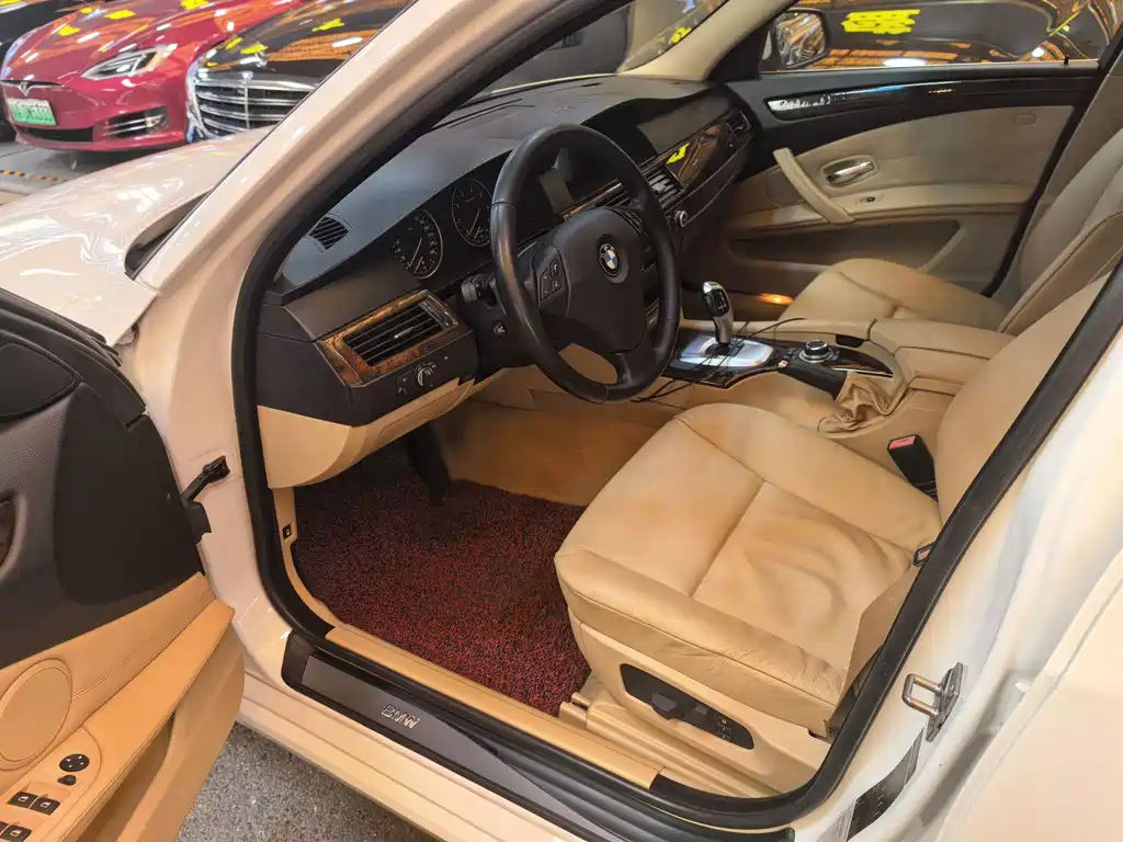 BMW 5 Series 2010