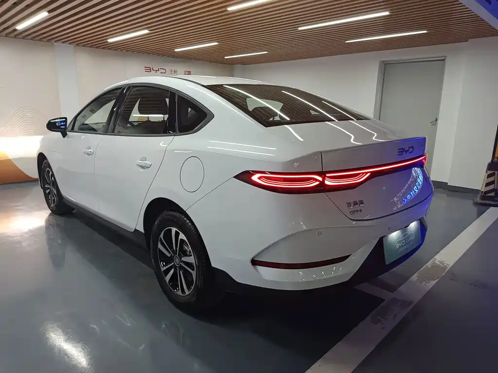 BYD Qin PLUS 2025 — фото 16