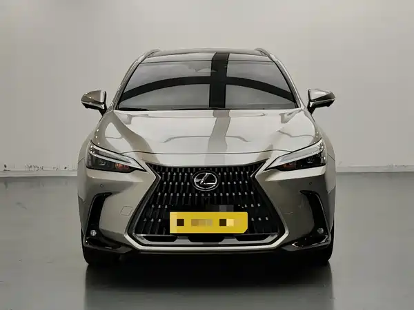 Lexus NX 2022