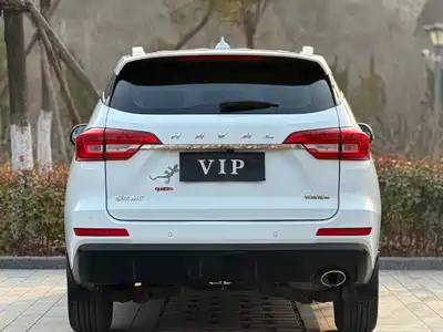 Haval M6 2019