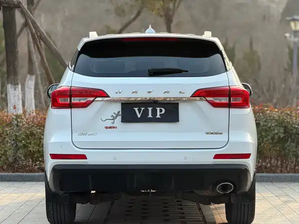 Haval M6 2019