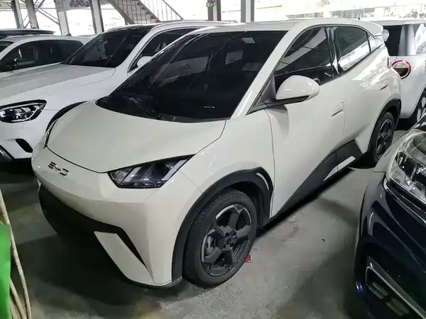 BYD Seagull 2024
