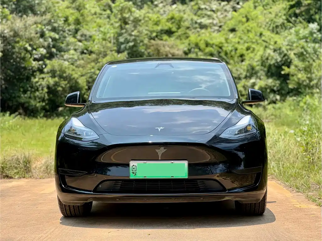 Tesla Model Y 2024 — фото 2
