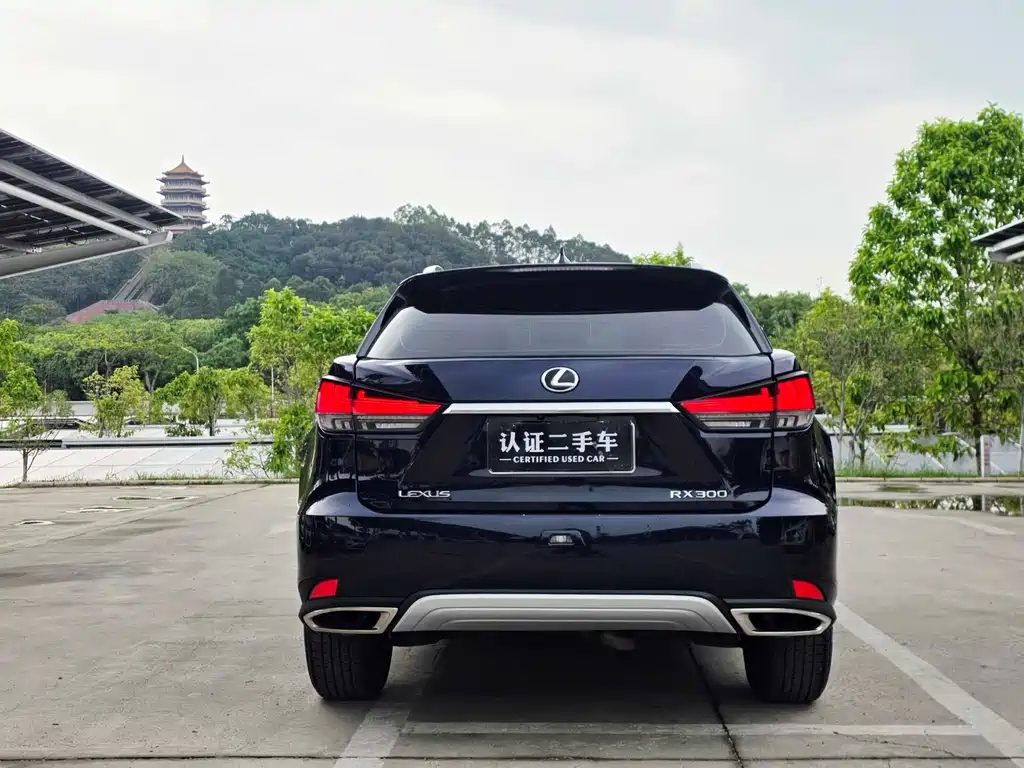 Lexus RX 2021 — фото 17