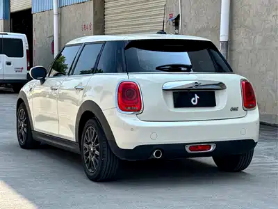 MINI MINI 2021