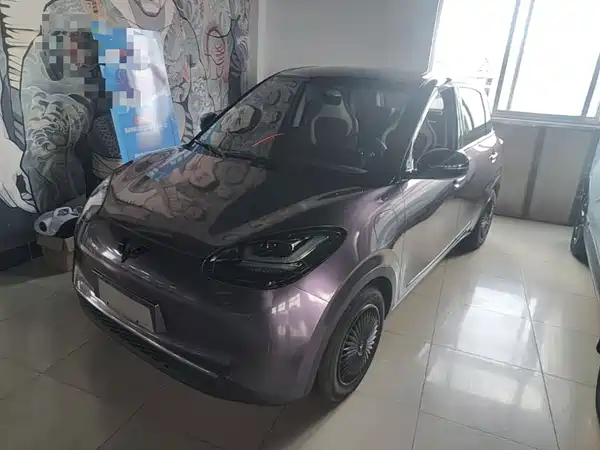 Wuling Bingo 2024