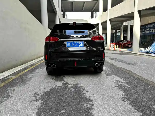 Wey VV6 2019