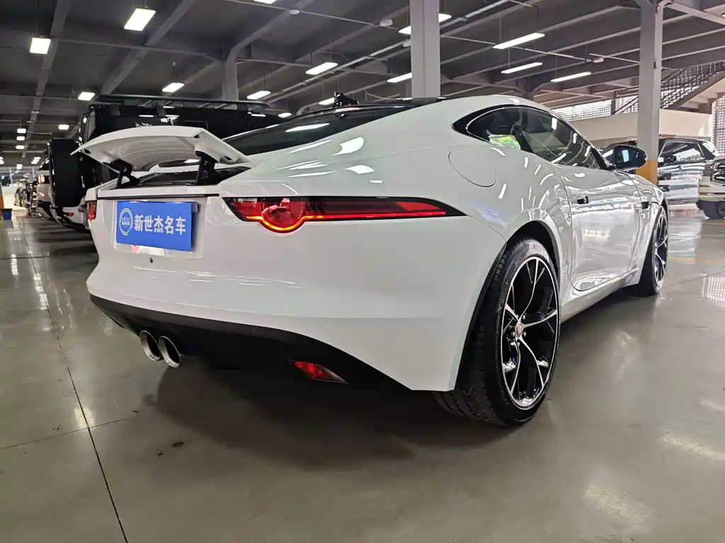 Jaguar F-TYPE 2018 — фото 13