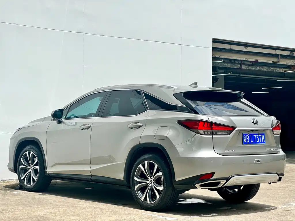 Lexus RX 2021 — фото 19