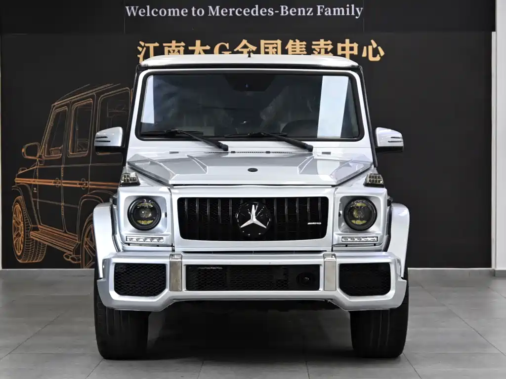Mercedes-Benz G-Class 2014 — фото 2