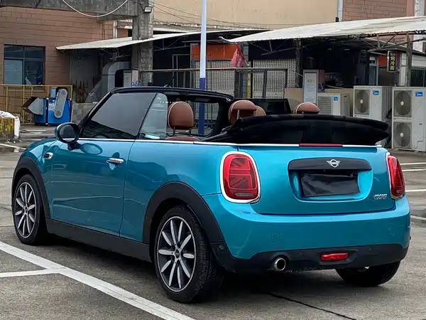 MINI 2019