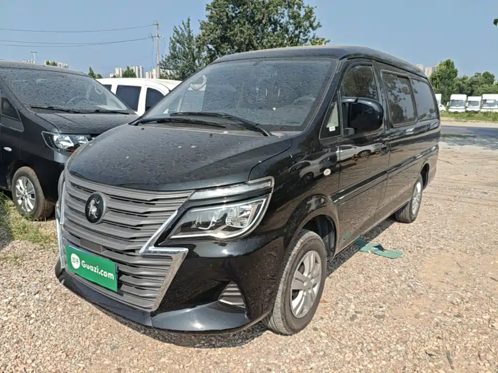 Fengxing Lingzhi 2023