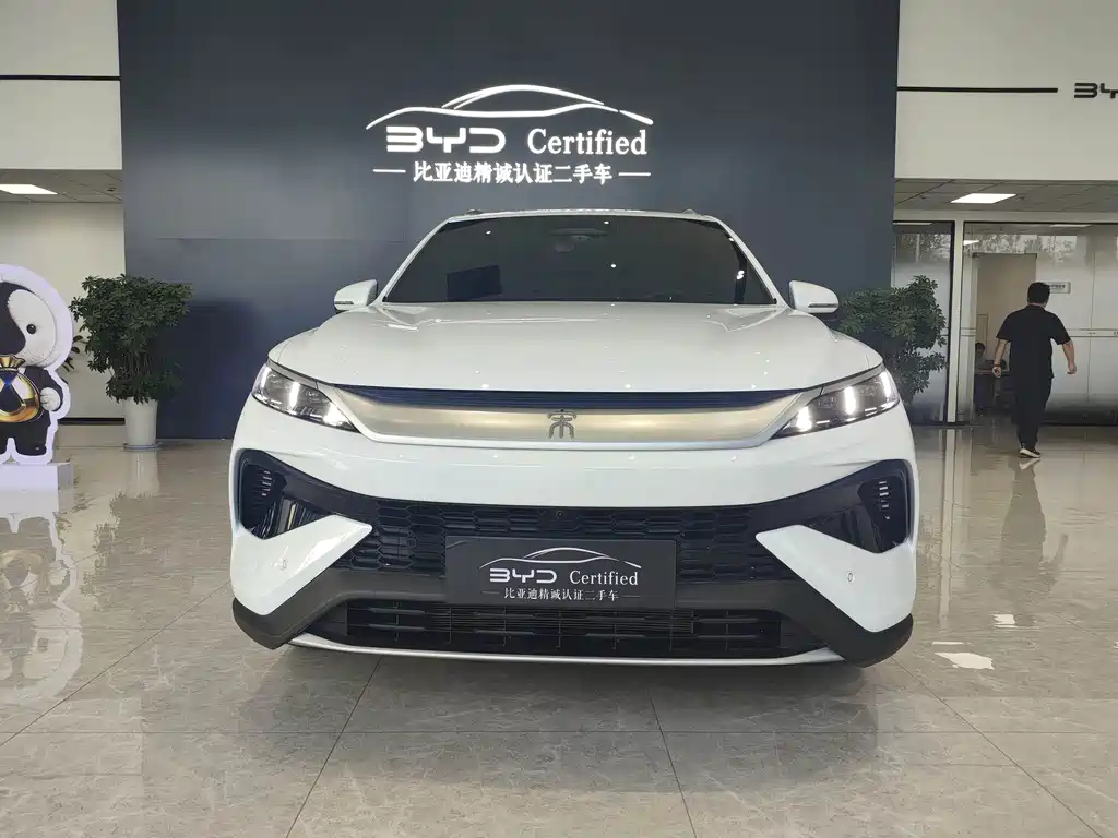 BYD Song Pro New Energy 2025 — фото 2