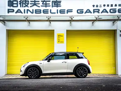 MINI MINI 2019