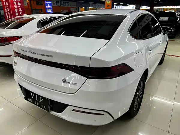 BYD Qin PLUS 2024