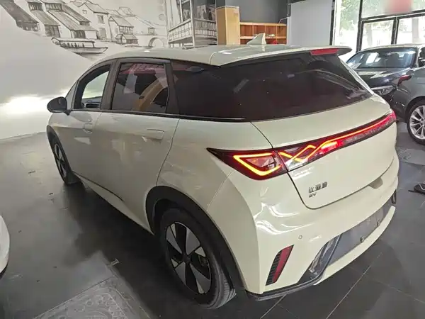 BYD Dolphin 2023