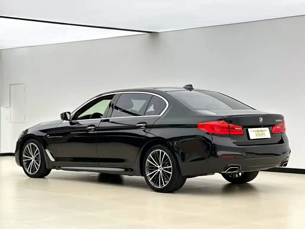 BMW 5 Series 2020 — фото 8