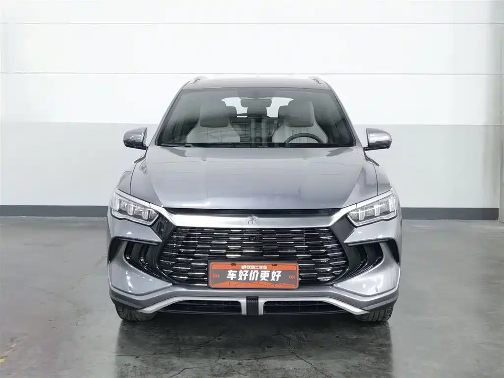 BYD Pro New Energy 2024 — фото 3