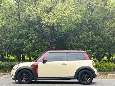 MINI MINI 2010