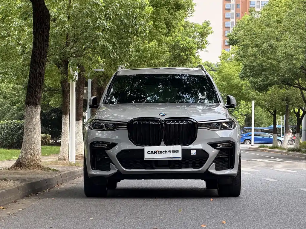 BMW X7 2020 — фото 3