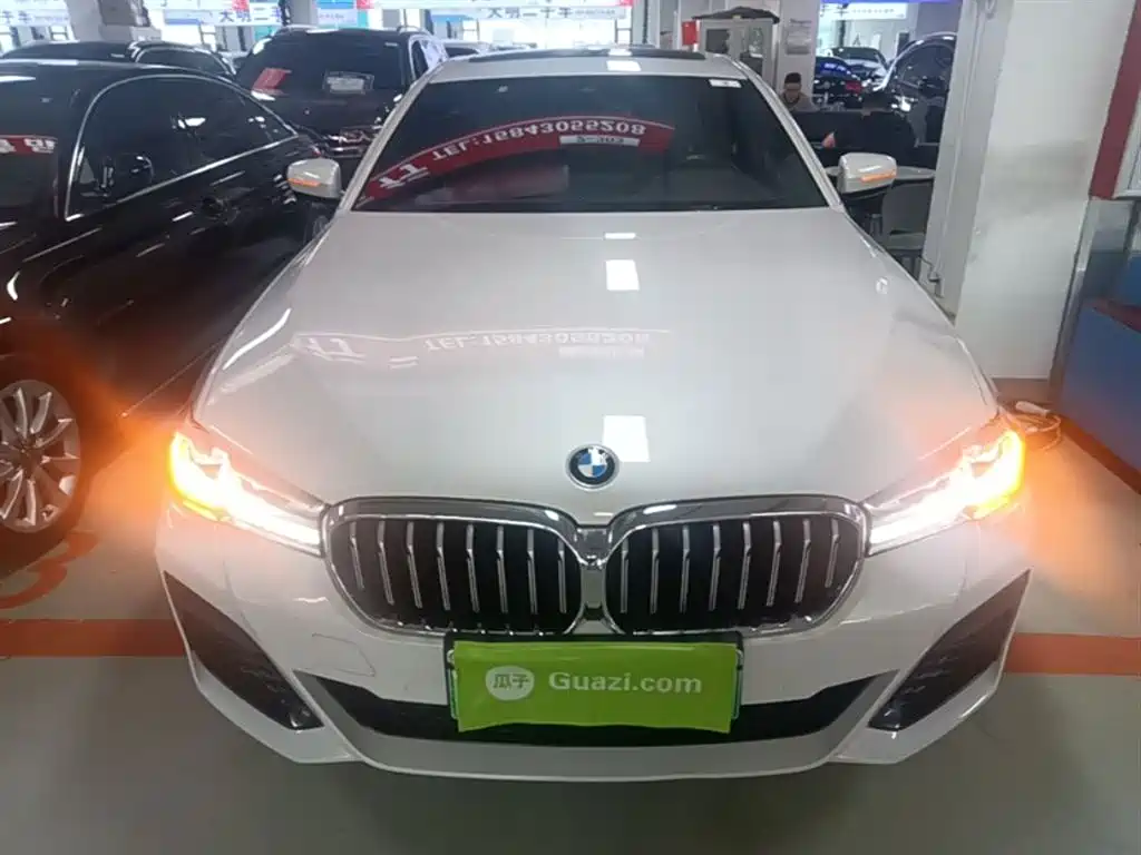 BMW 5 Series New Energy 2021 — фото 3