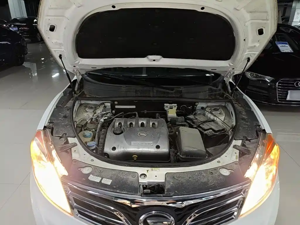 GAC Trumpchi GS5 2015 — фото 20