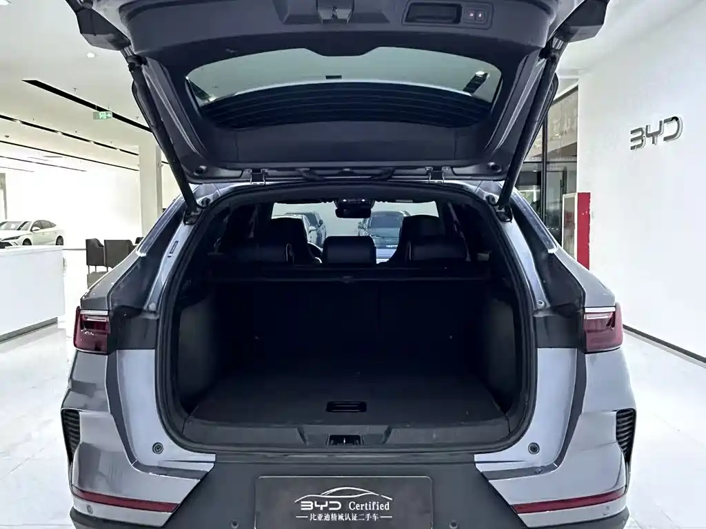 BYD Song PLUS New Energy 2022 — фото 10
