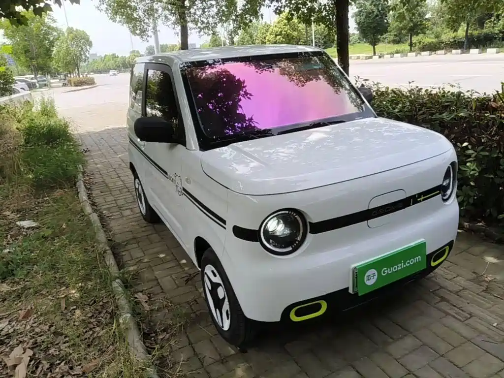 Galaxy Panda 2025