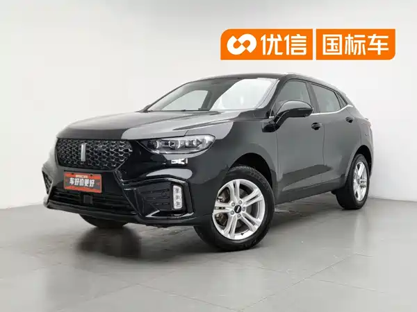 Wey VV5 2020