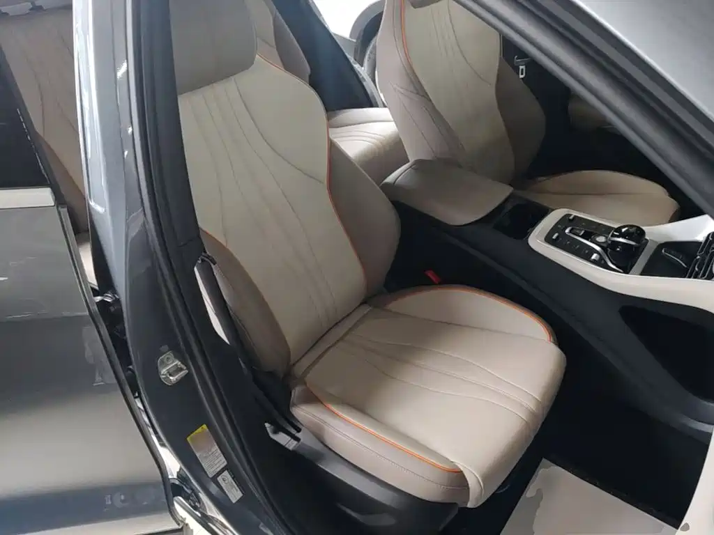 BYD Song Pro New Energy 2024 — фото 20