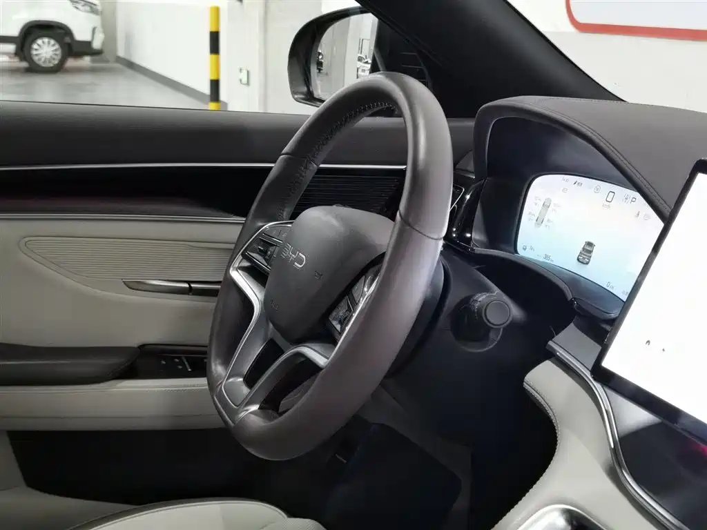 BYD PLUS New Energy 2025 — фото 22