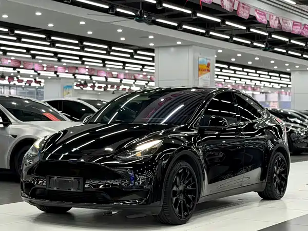 Tesla Model Y 2021