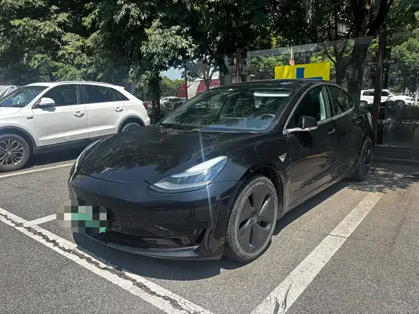 Tesla Model 3 2020