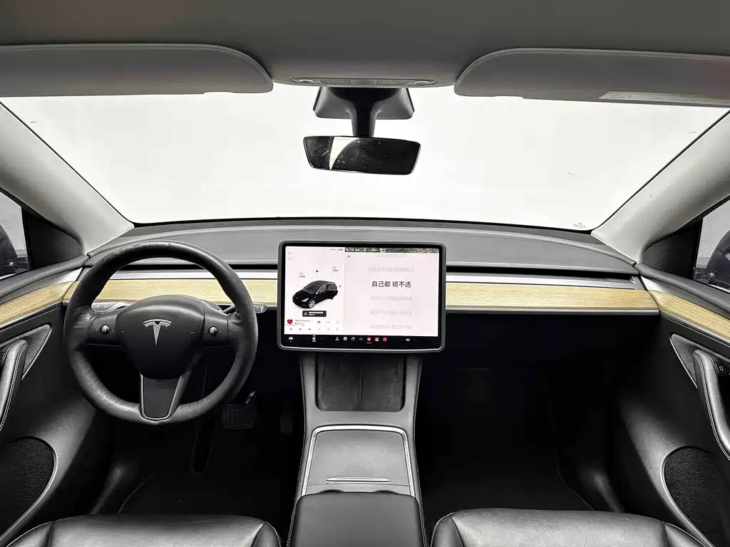 Tesla Model Y 2021 — фото 13