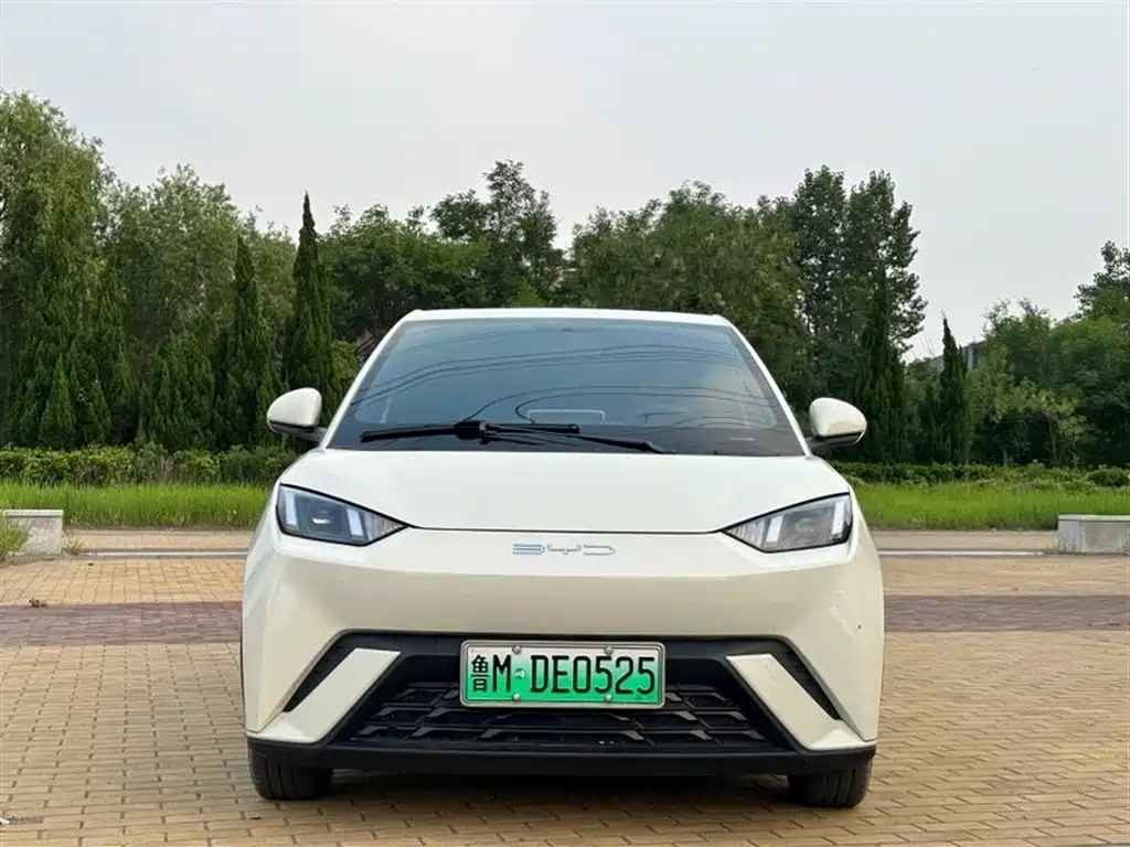 BYD Seagull 2024