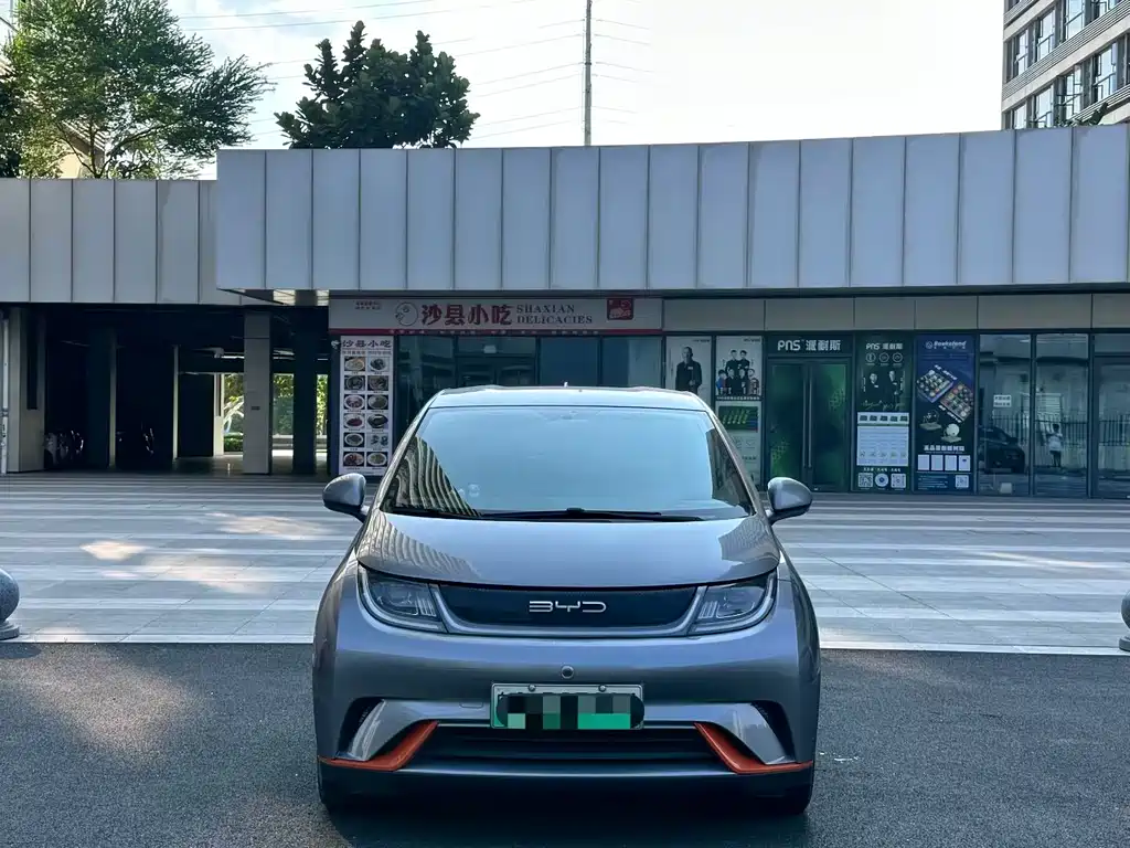 BYD Dolphin 2022