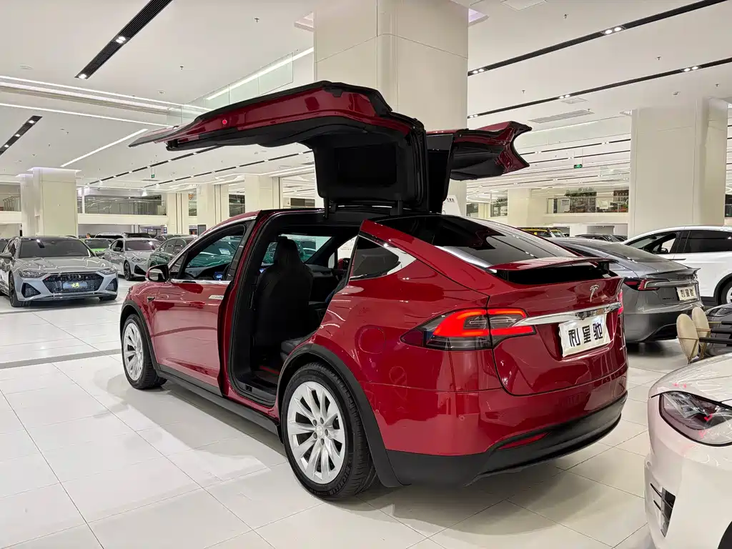 Tesla Model X 2019 — фото 3