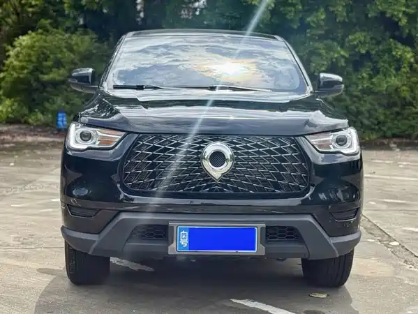 Great Wall Poer 2023