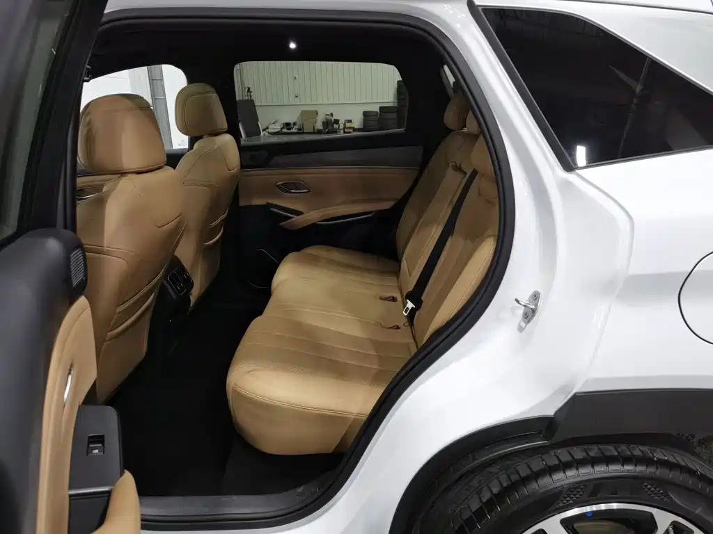 BYD Song L DM-i 2025 — фото 15