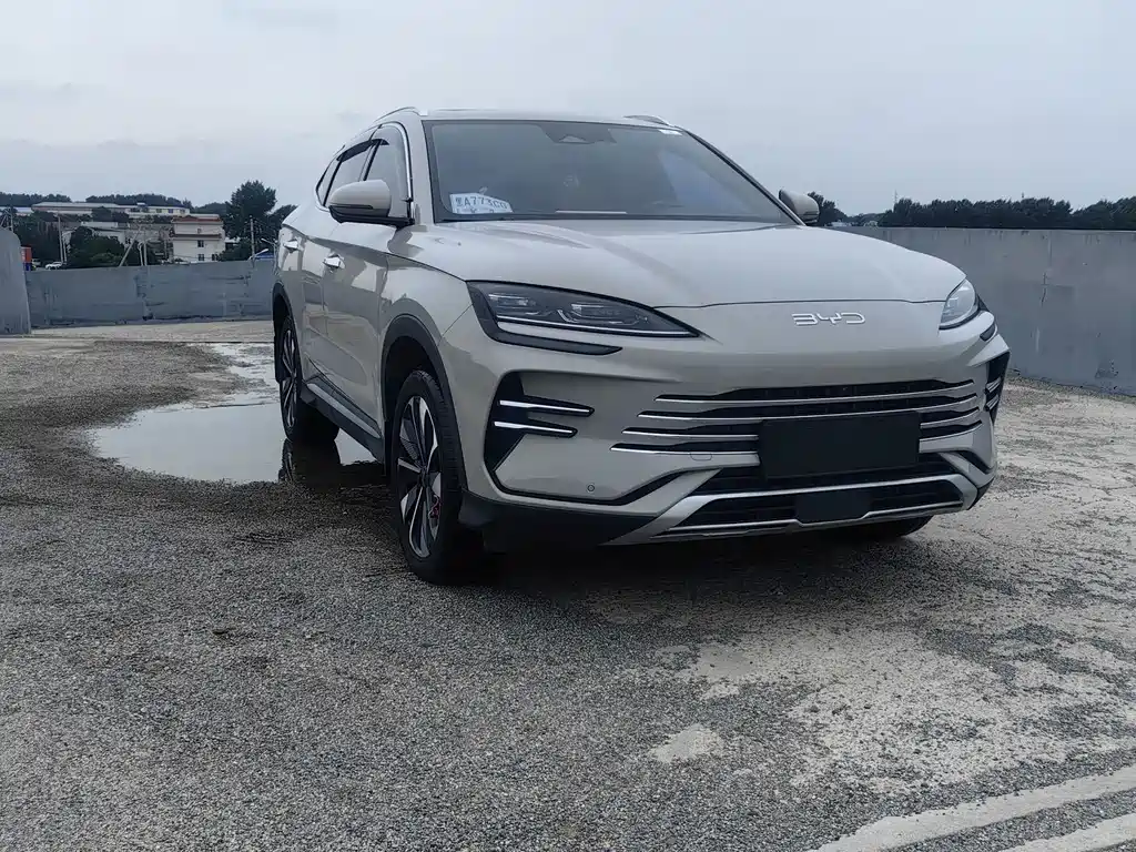 BYD Song PLUS New Energy 2024 — фото 3