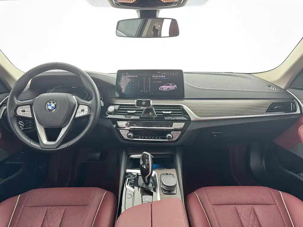 BMW 5 Series New Energy 2021
