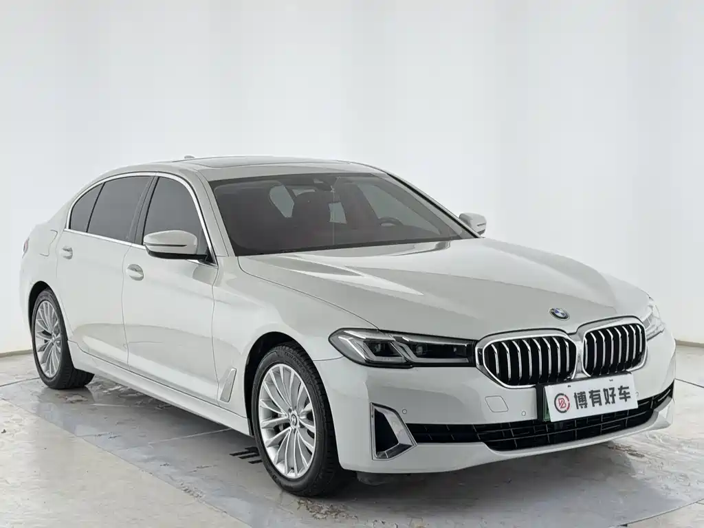BMW 5 Series New Energy 2021
