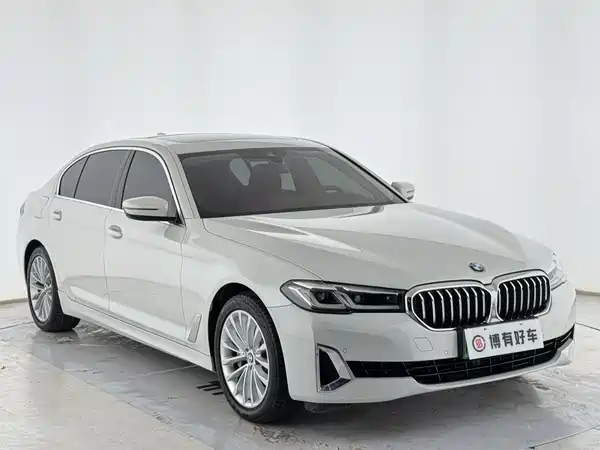 BMW 5 Series New Energy 2021