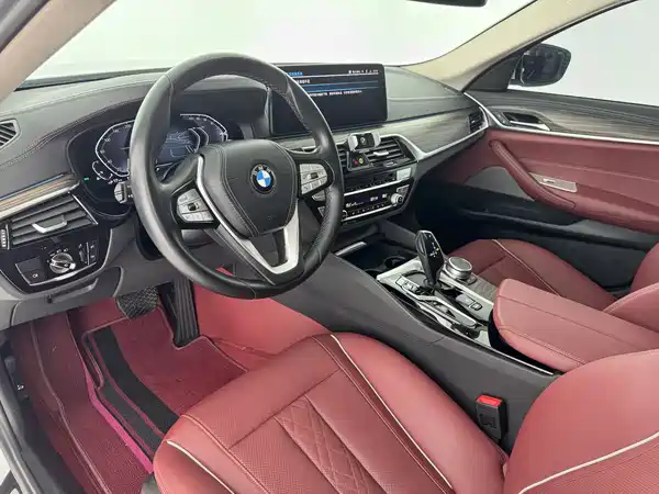 BMW 5 Series New Energy 2021
