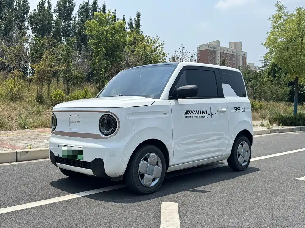 Galaxy Panda 2024